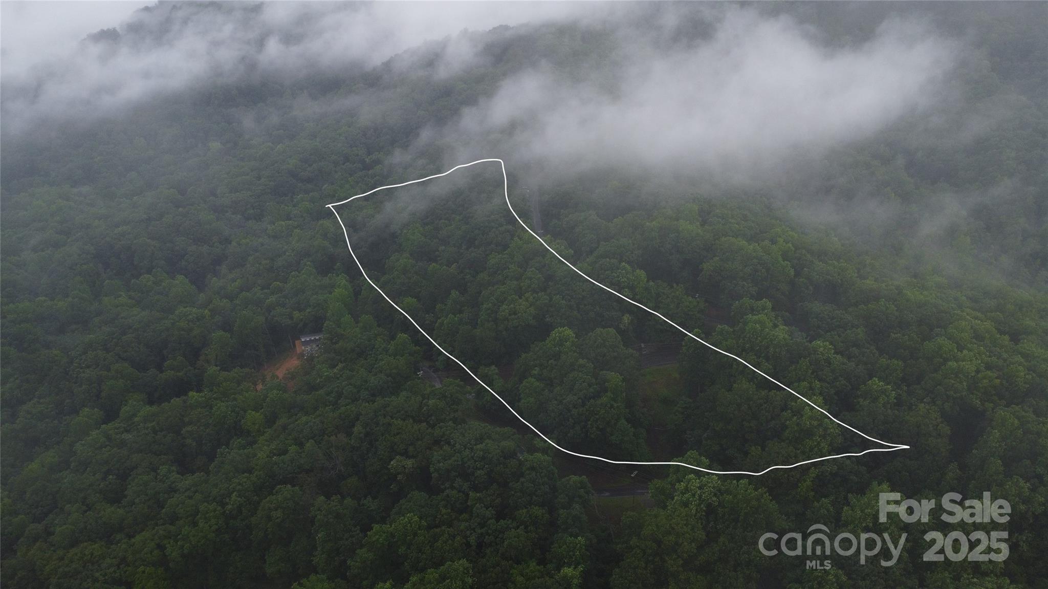 46 Hemlock Trail Columbus, NC 28722 - Photo 6 of 9