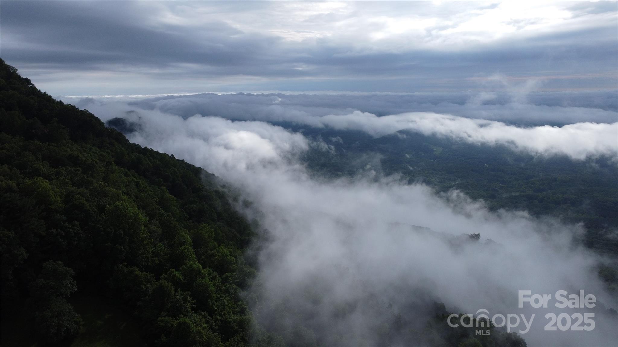 46 Hemlock Trail Columbus, NC 28722 - Photo 7 of 9 a view of a yard