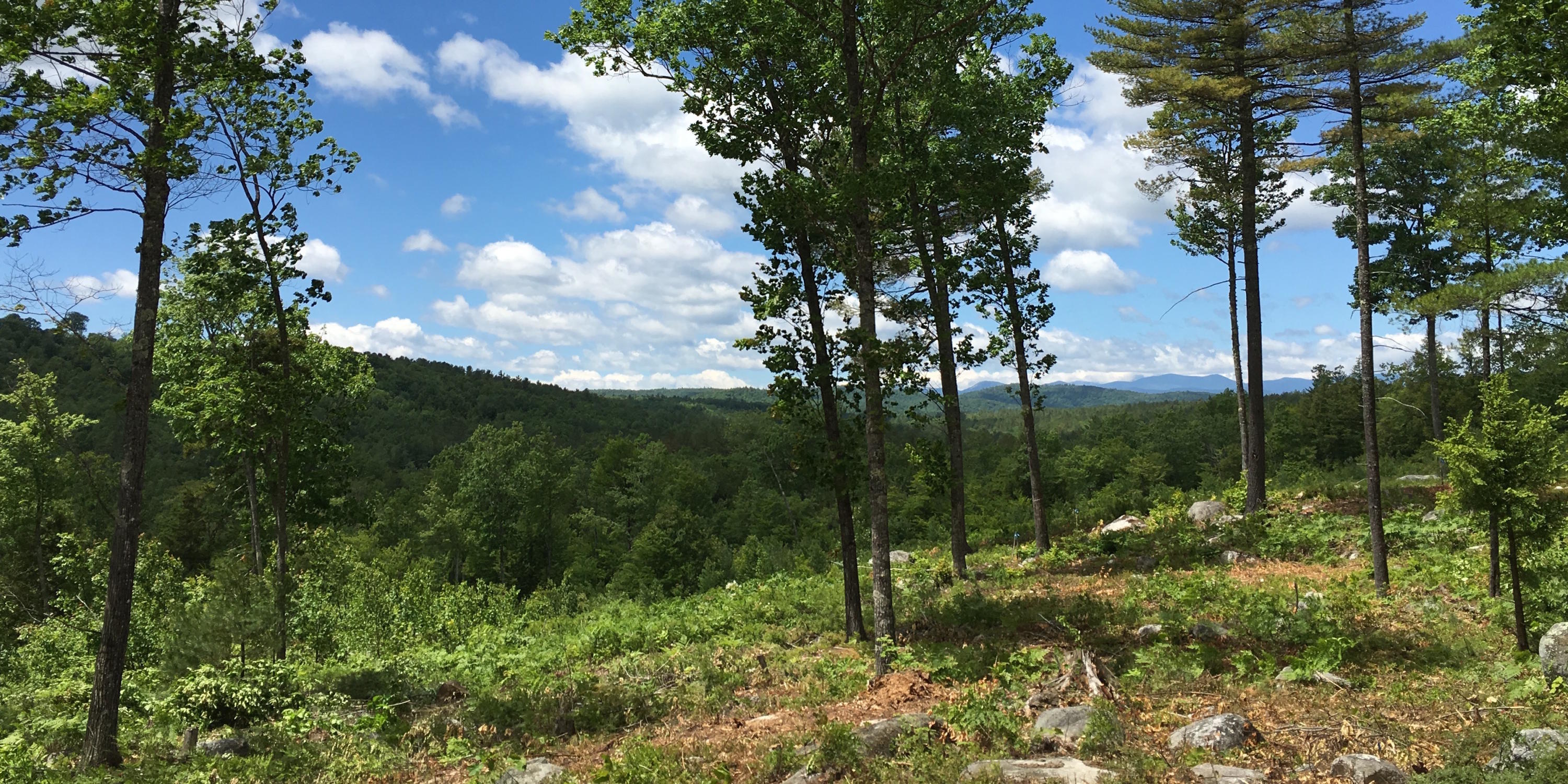 0 Norway Road Waterford, ME 04088 - Photo 1 of 4 WaterfordProp16ac