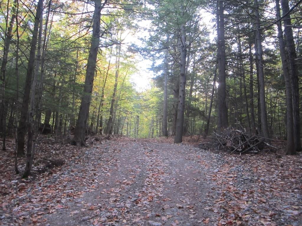 24 Pine Tree Road Litchfield, ME 04350 - Photo 6 of 35 Photo