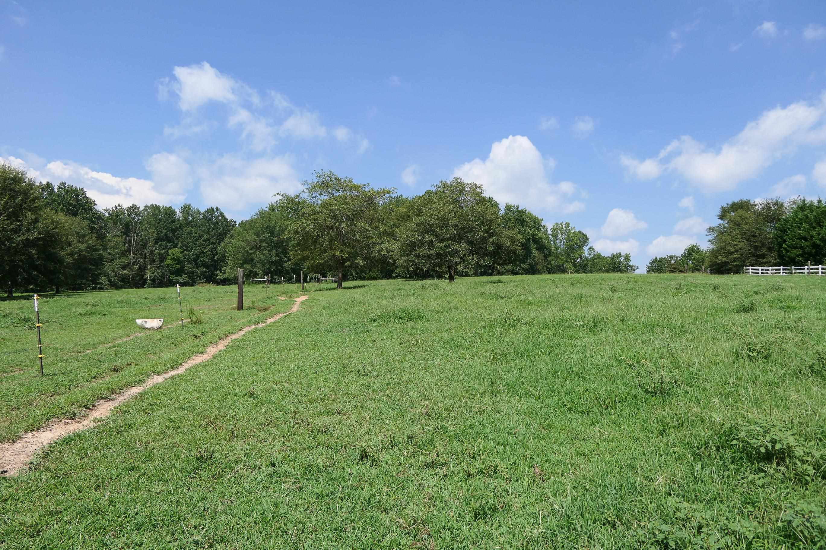 747 Bumblebee Lane Wellford, SC 29385 - Photo 22 of 46