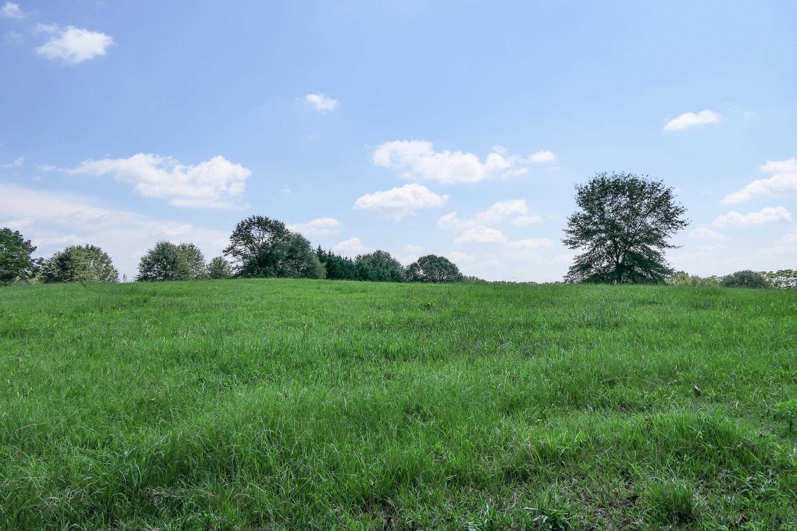 747 Bumblebee Lane Wellford, SC 29385 - Photo 28 of 46