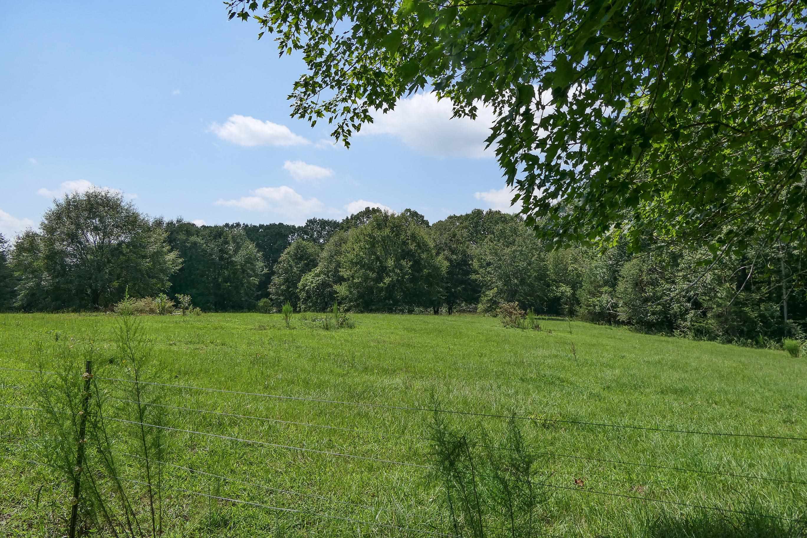 747 Bumblebee Lane Wellford, SC 29385 - Photo 29 of 46