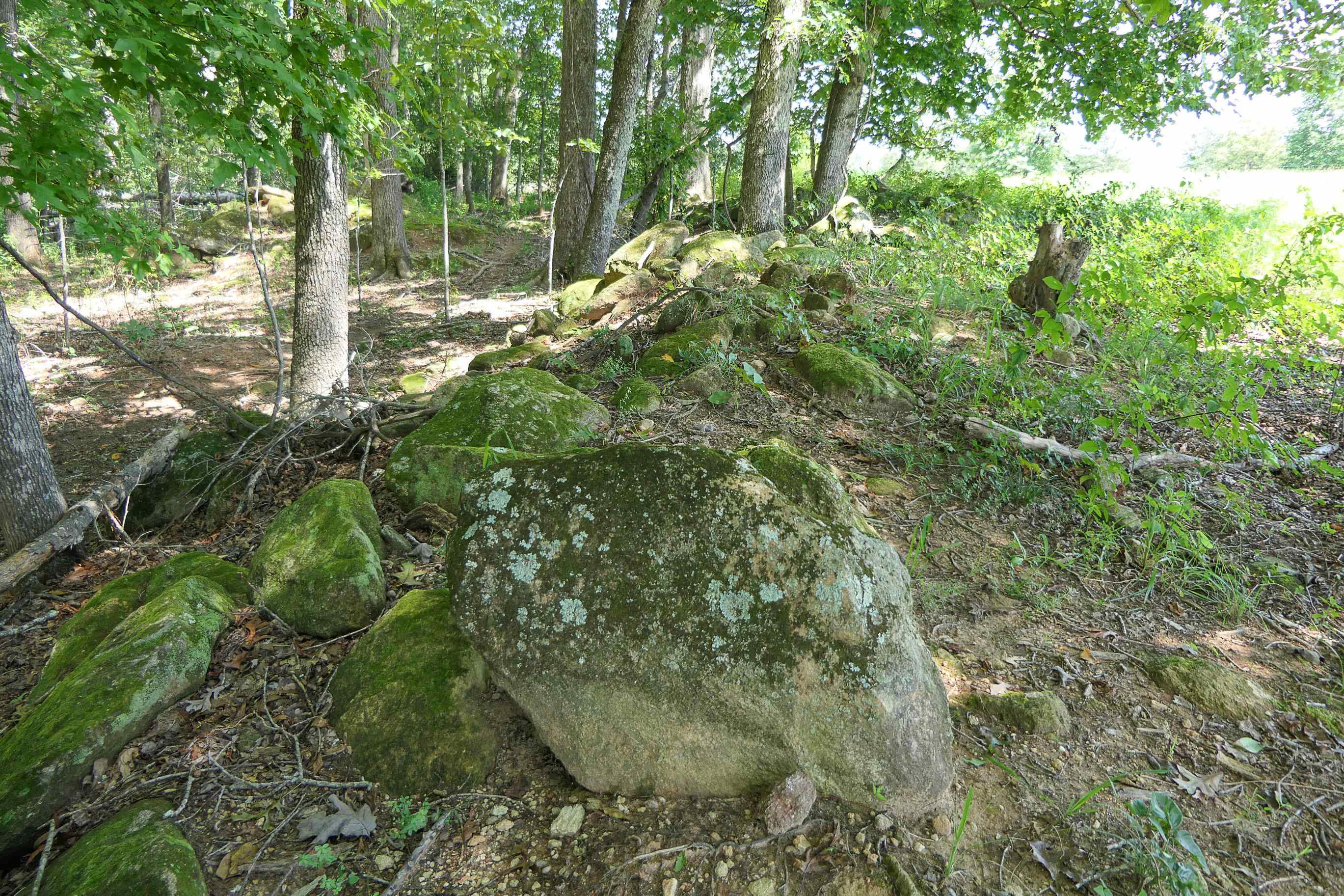 747 Bumblebee Lane Wellford, SC 29385 - Photo 30 of 46