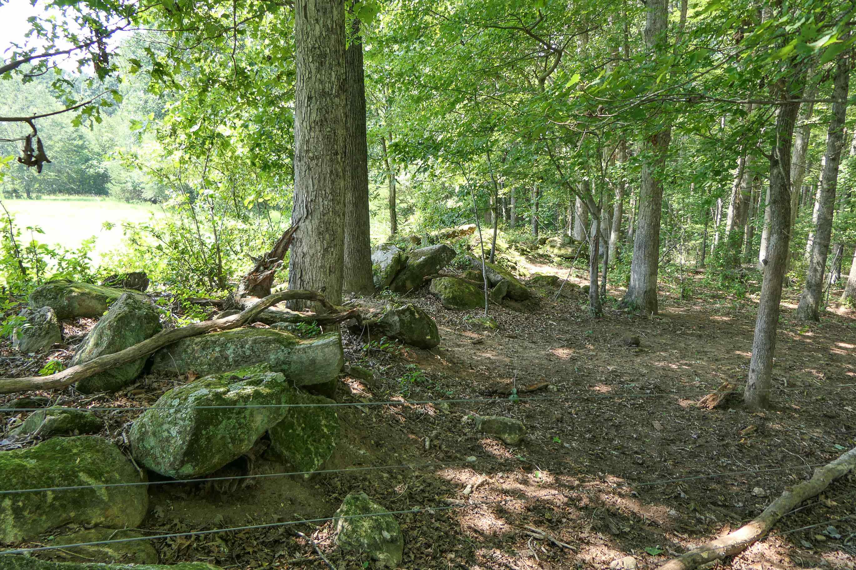 747 Bumblebee Lane Wellford, SC 29385 - Photo 31 of 46