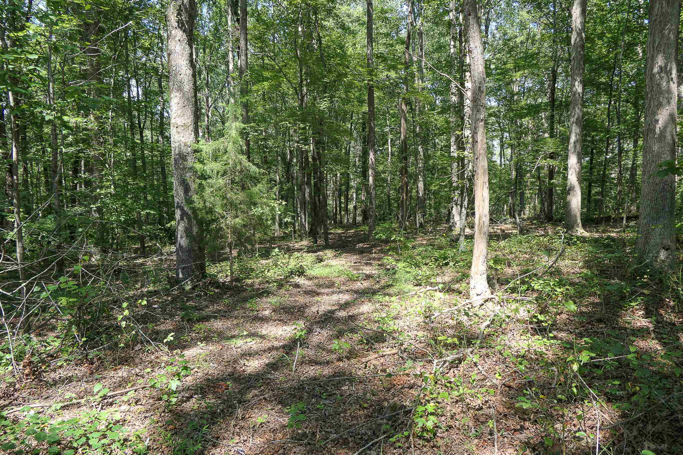 747 Bumblebee Lane Wellford, SC 29385 - Photo 34 of 46