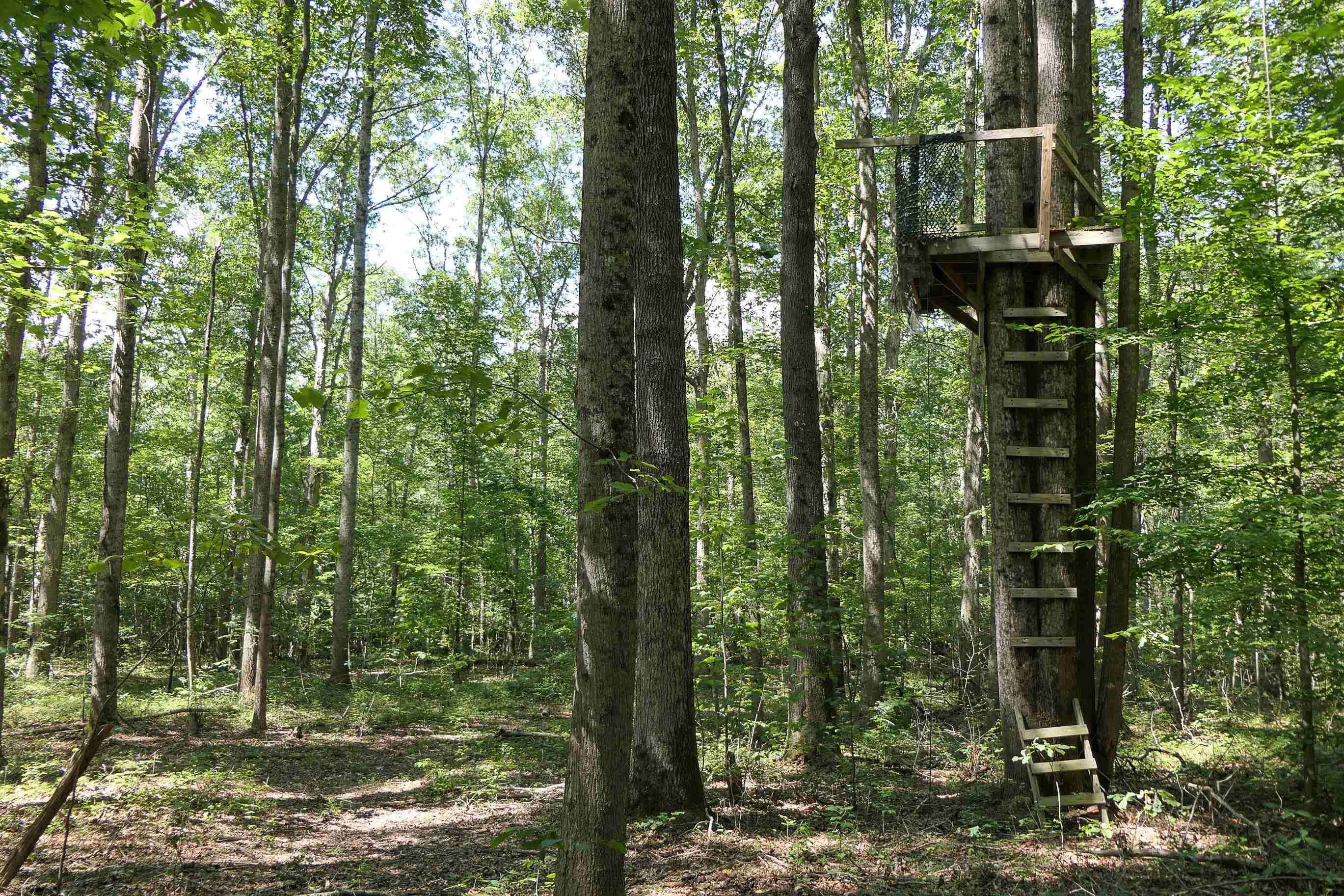 747 Bumblebee Lane Wellford, SC 29385 - Photo 37 of 46