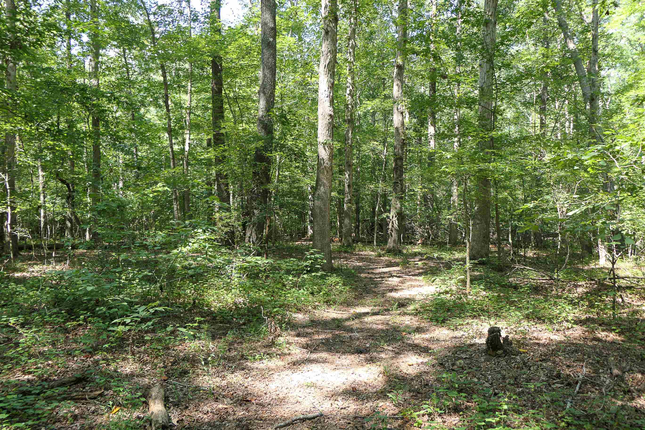 747 Bumblebee Lane Wellford, SC 29385 - Photo 40 of 46