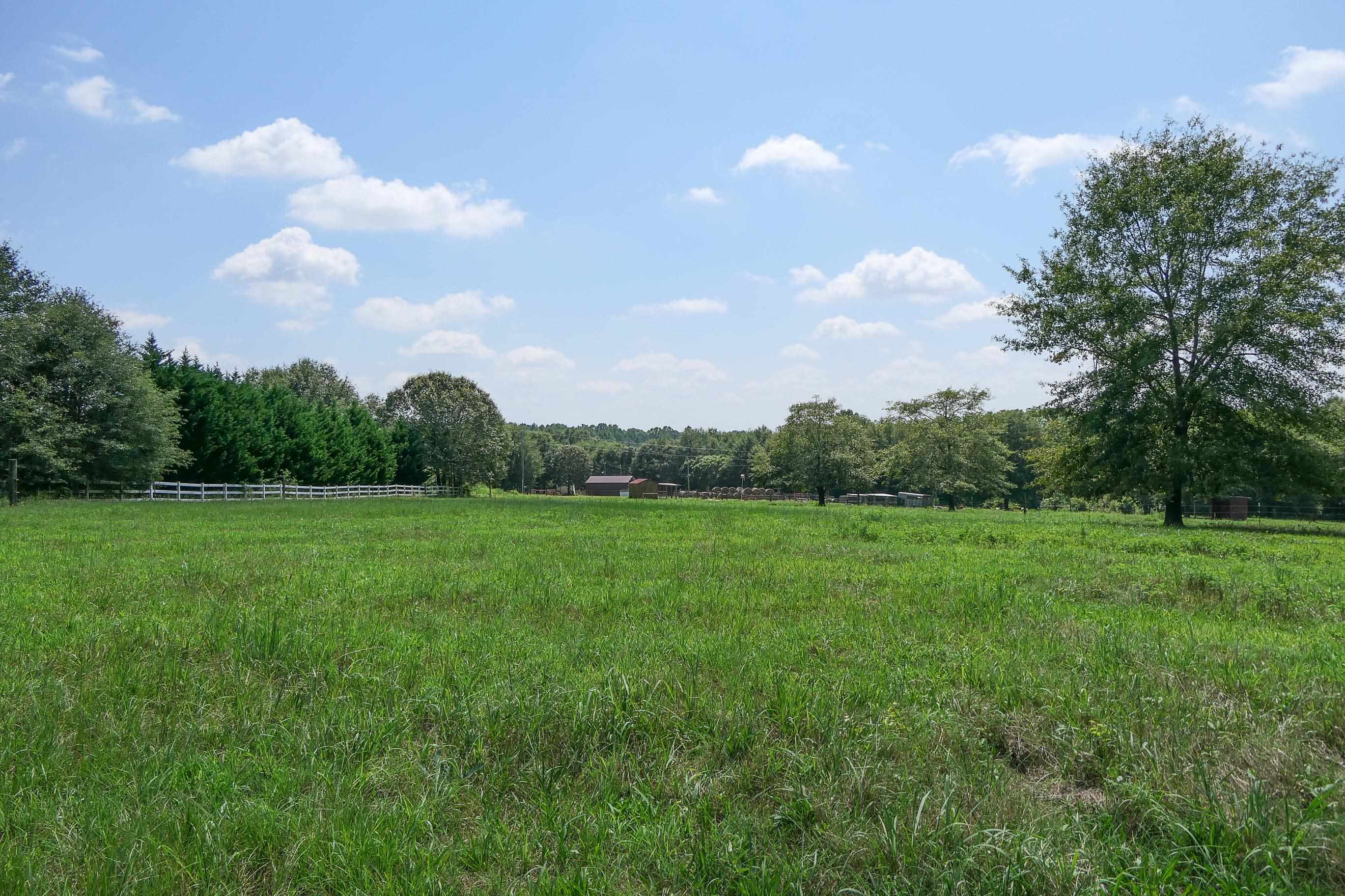 747 Bumblebee Lane Wellford, SC 29385 - Photo 4 of 46