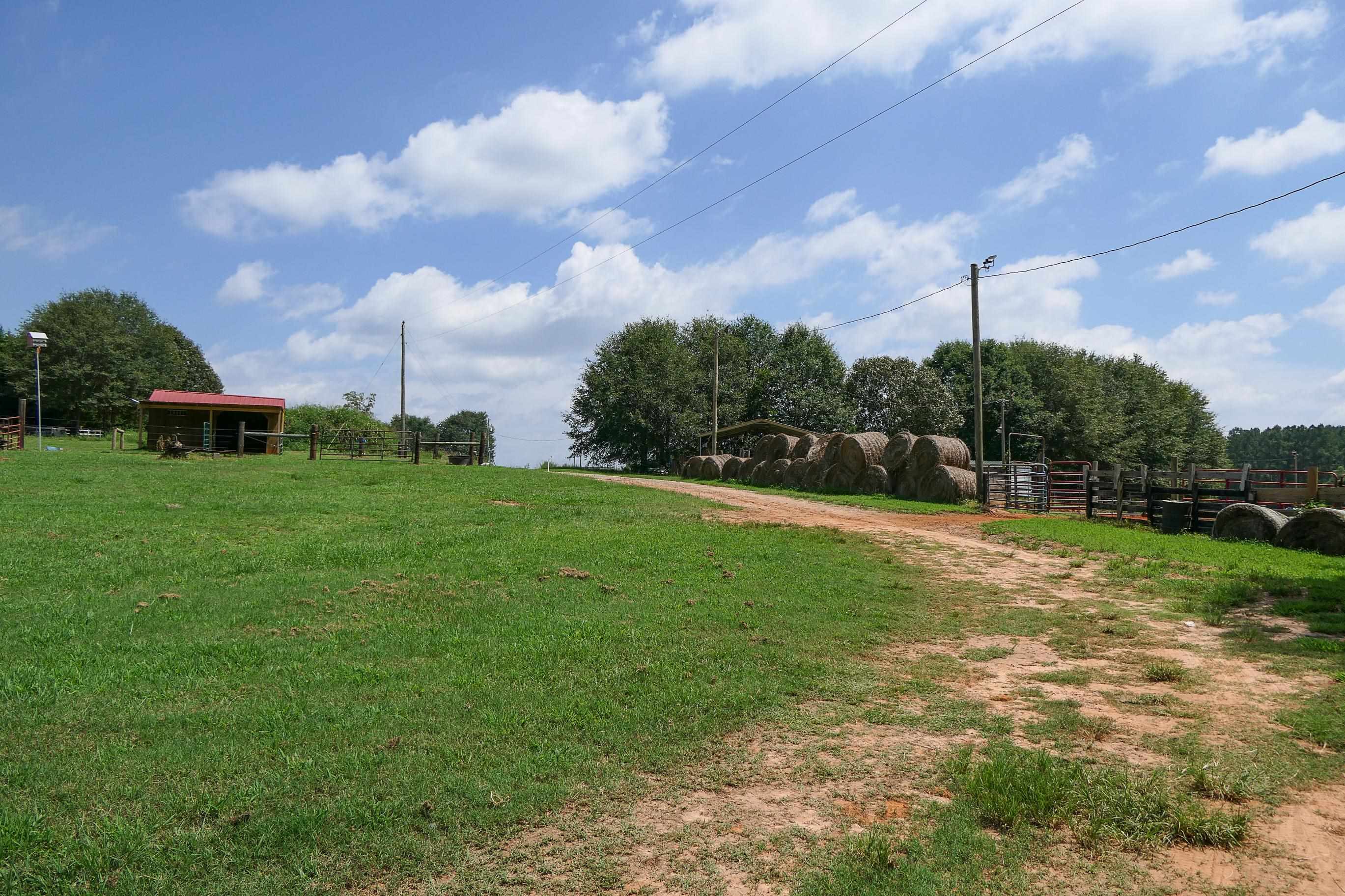 747 Bumblebee Lane Wellford, SC 29385 - Photo 8 of 46