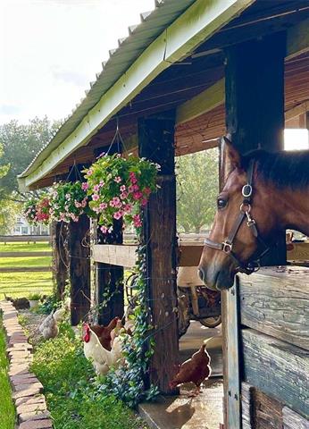 50386 Turnpike Road Folsom, LA 70437 - Photo 18 of 22