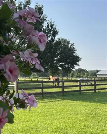 $885,000 | 50386 Turnpike Road, Folsom, LA 70437