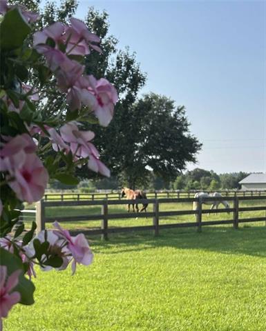 50386 Turnpike Road Folsom, LA 70437 - Photo 4 of 22