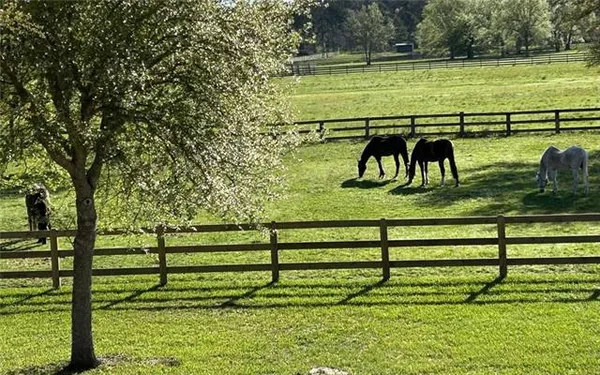 $885,000 | 50386 Turnpike Road, Folsom, LA 70437