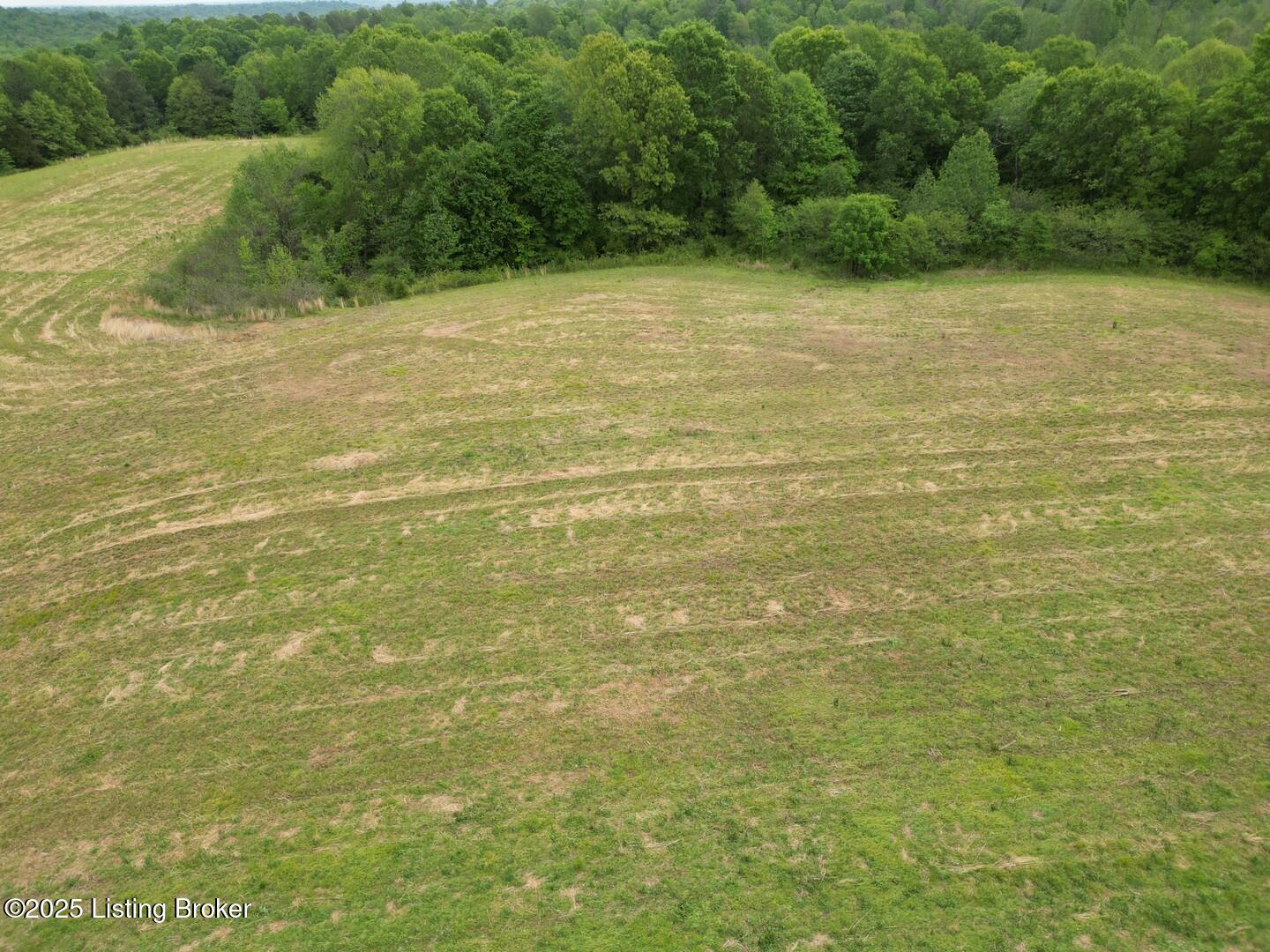Lot 12 Duvall Road Caneyville, KY 42721 - Photo 5 of 5 L12-4