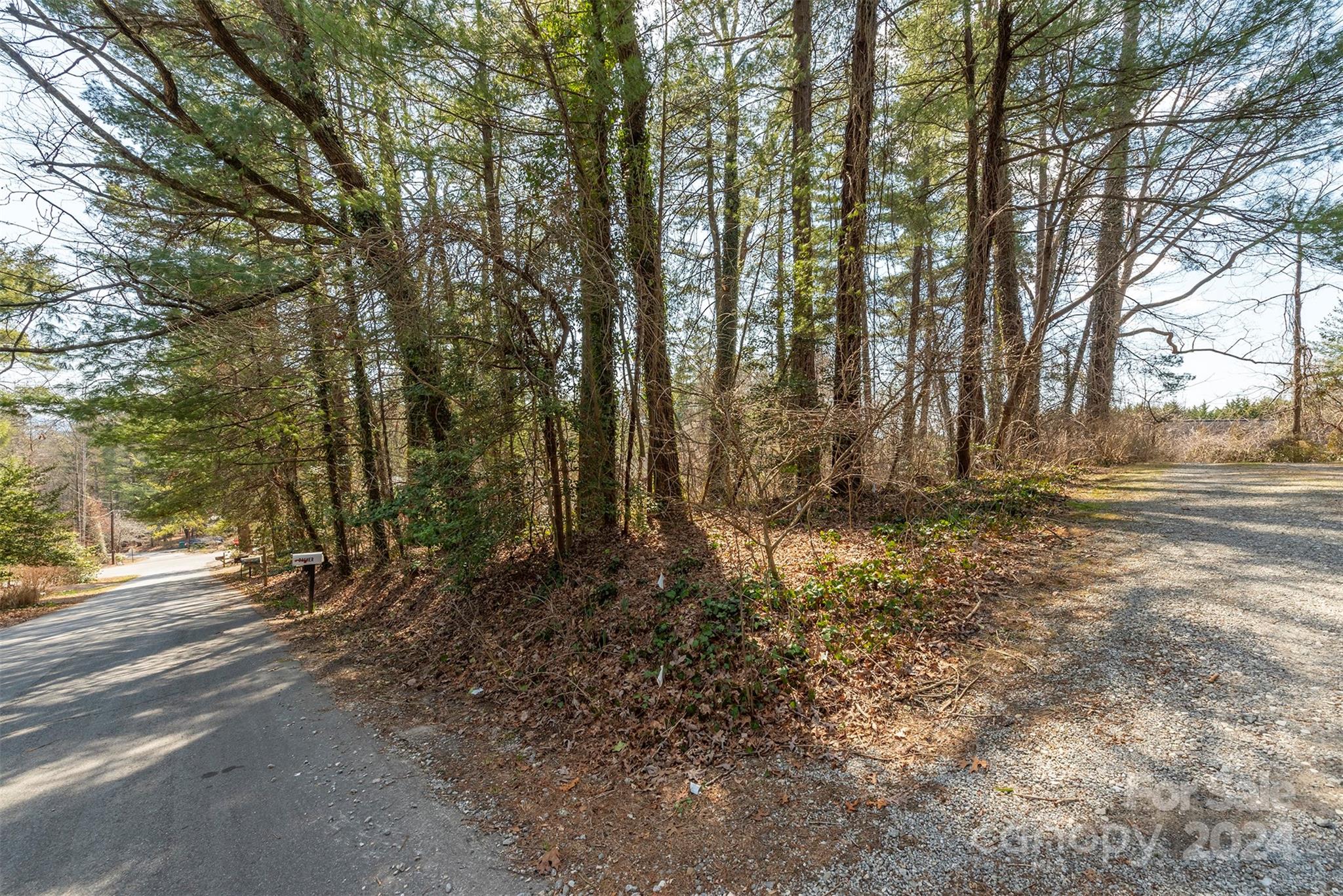 99999 Oakhurst Road Arden, NC 28704 - Photo 1 of 9 Gallery Image 1