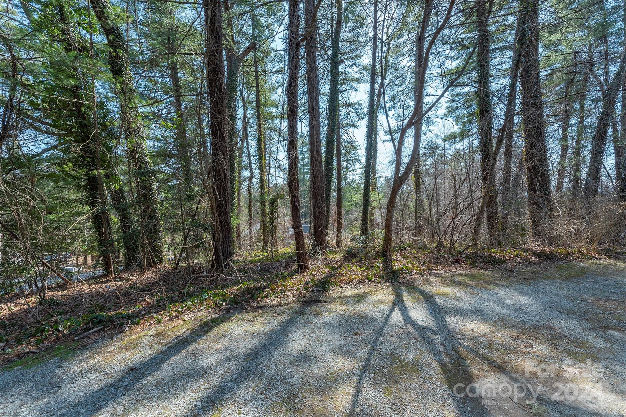 99999 Oakhurst Road Arden, NC 28704 - Photo 3 of 9 Gallery Image 3