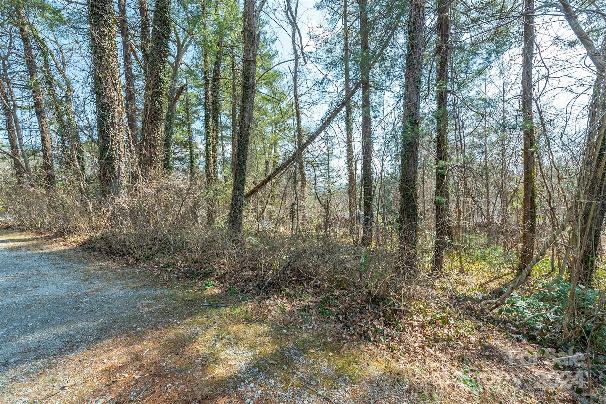 99999 Oakhurst Road Arden, NC 28704 - Photo 6 of 9 Gallery Image 6