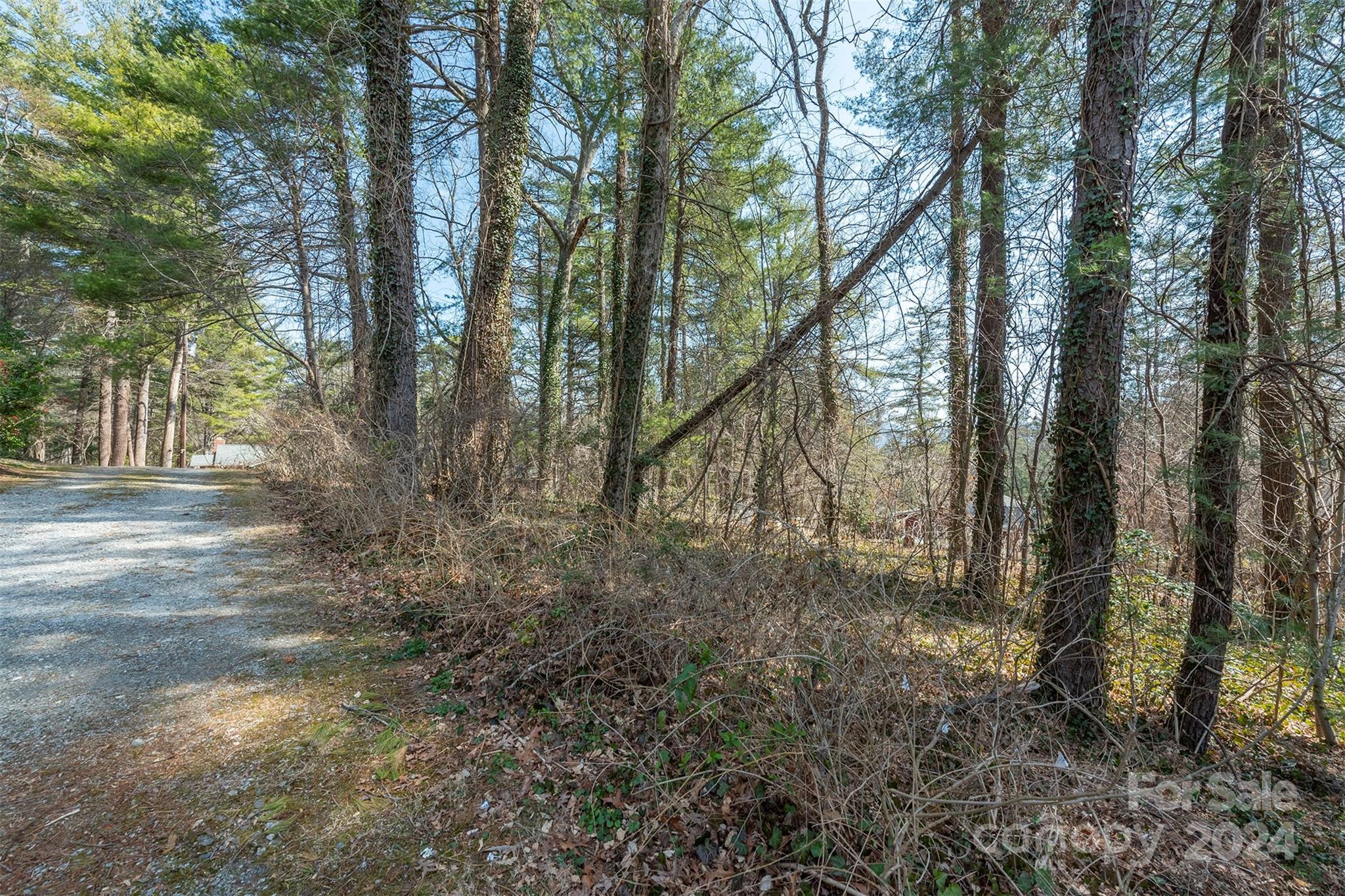 99999 Oakhurst Road Arden, NC 28704 - Photo 7 of 9 Gallery Image 7
