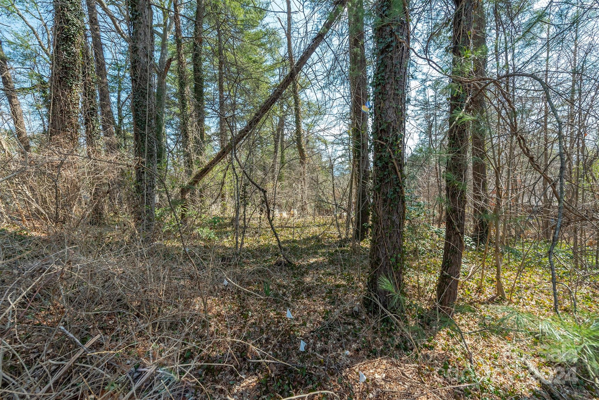 99999 Oakhurst Road Arden, NC 28704 - Photo 8 of 9 Gallery Image 8