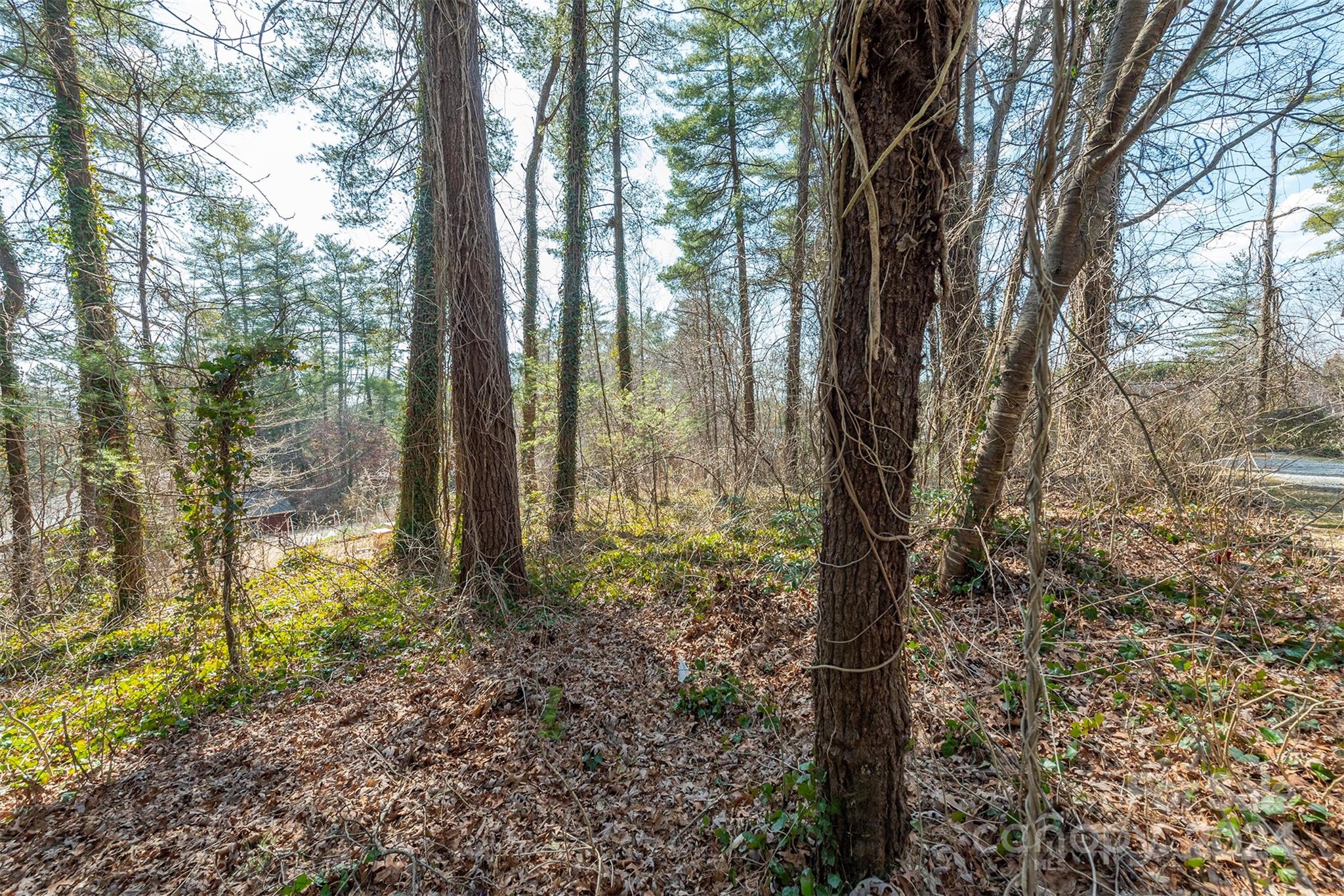 99999 Oakhurst Road Arden, NC 28704 - Photo 9 of 9 Gallery Image 9