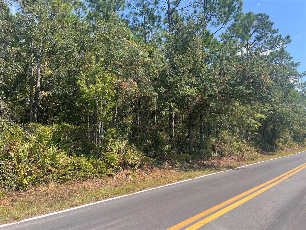 182 Millican Road Palatka, FL 32177 - Photo 8 of 12 Gallery Image 8