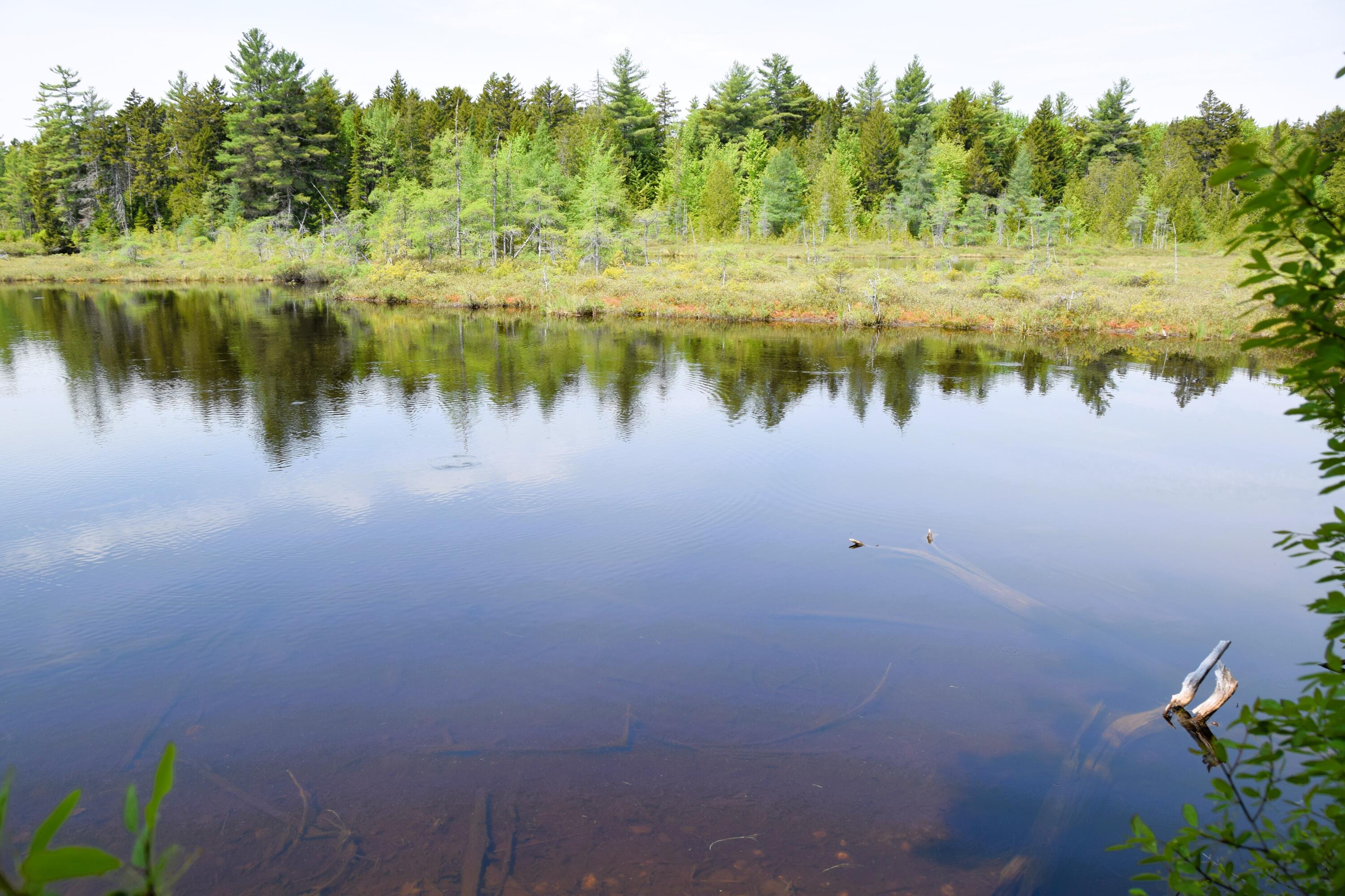 Ms03-l17.3 Carry Pond Road Bingham, ME 04920 - Photo 9 of 19