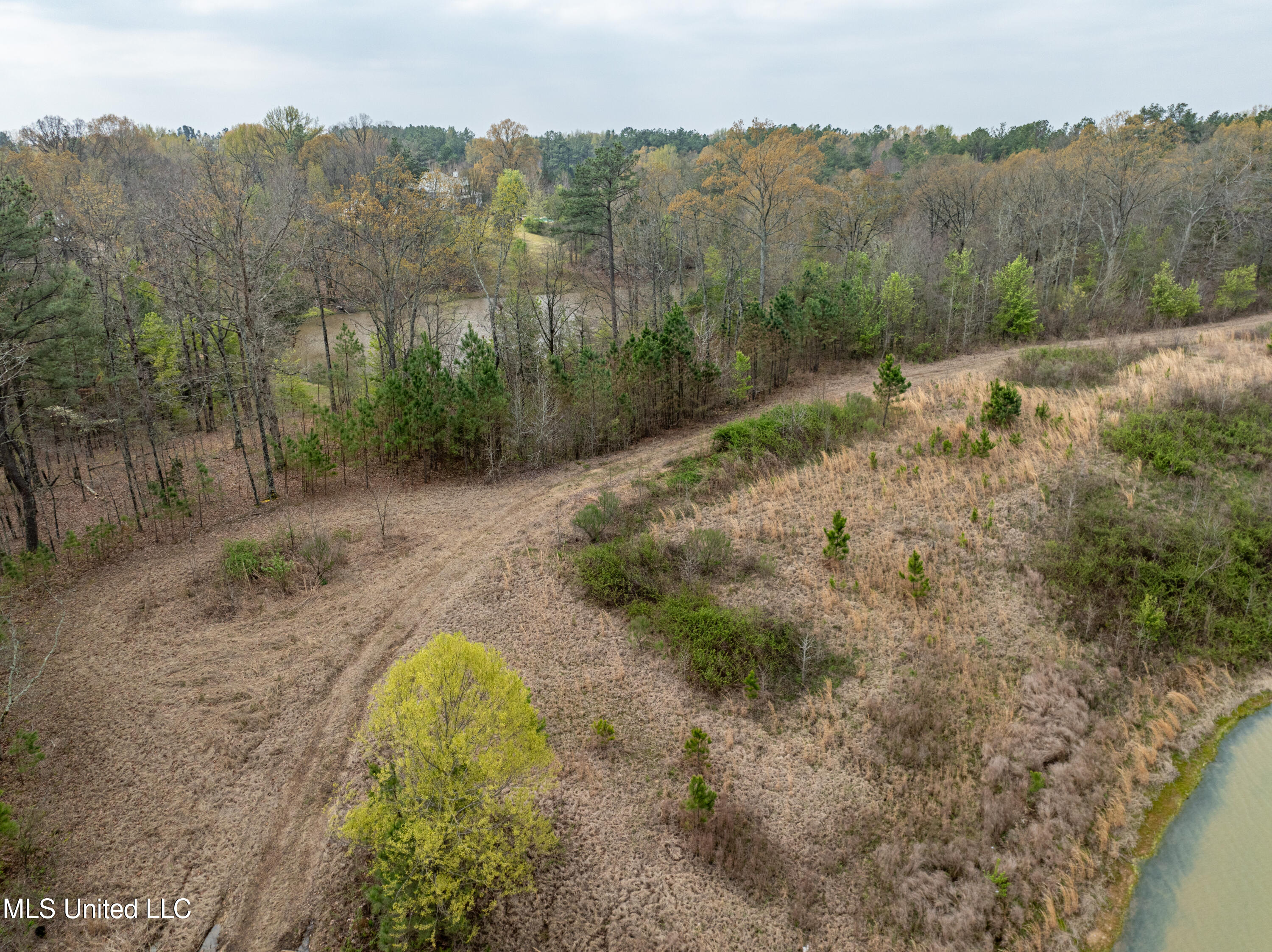 560 North Malone Hernando, MS 38632 - Photo 3 of 10 malone-22