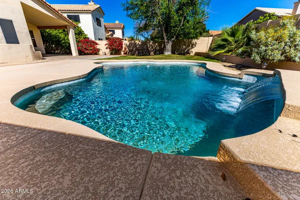 a view of a park with plants and large trees