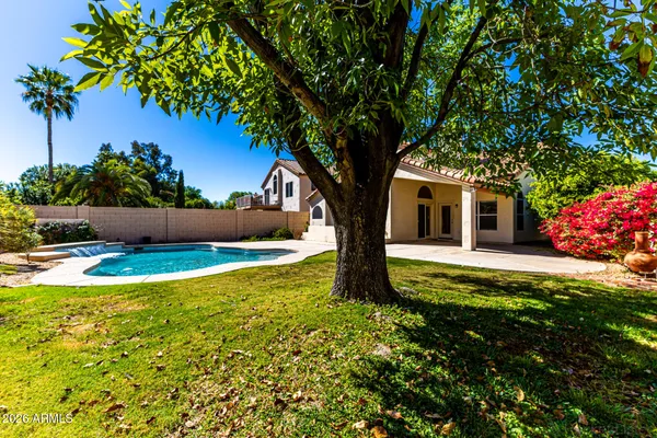 a tree in the garden of a house