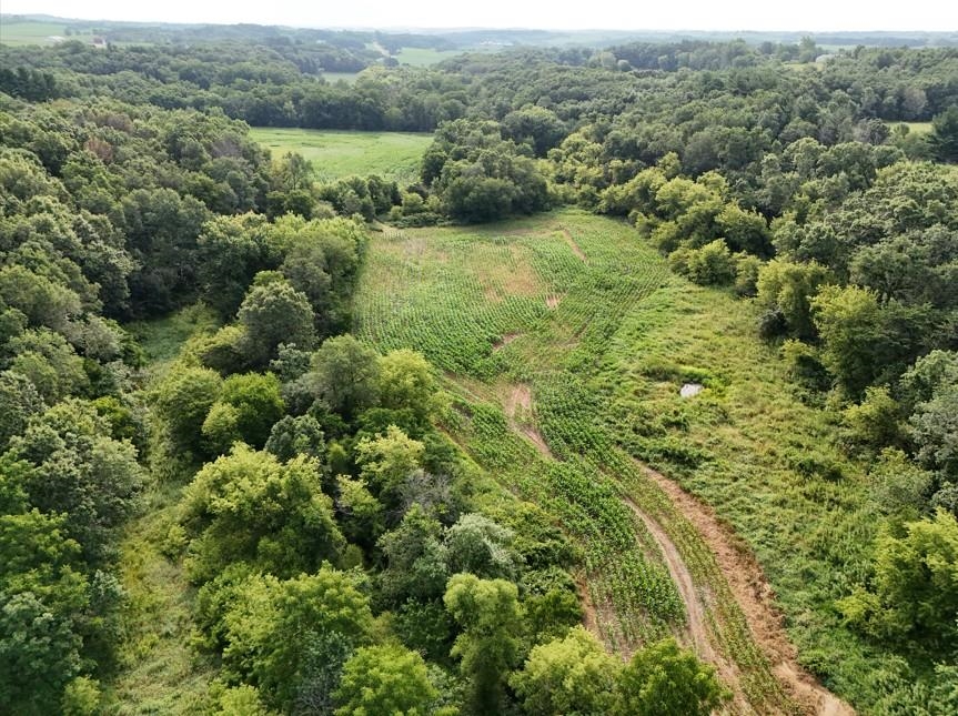 40-acres Highpoint Road Monticello, WI 53570 - Photo 28 of 34