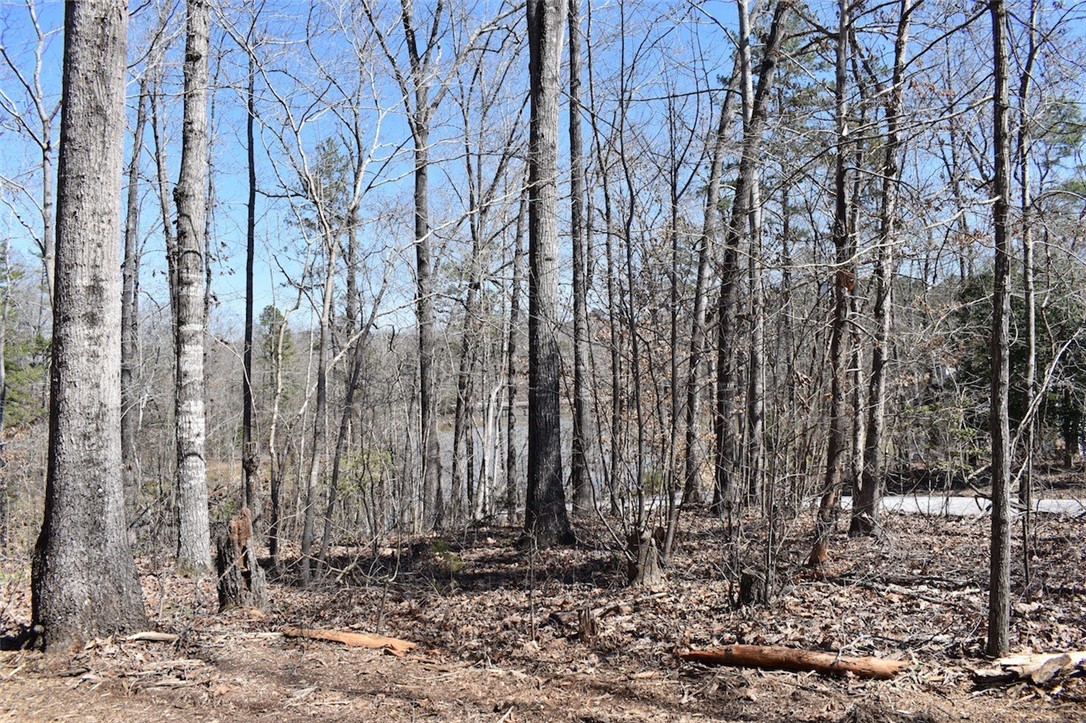 0 Bayfield Road, Unit LOT 23 SEC F Westminster, SC 29693 - Photo 2 of 13 Gallery Image 2