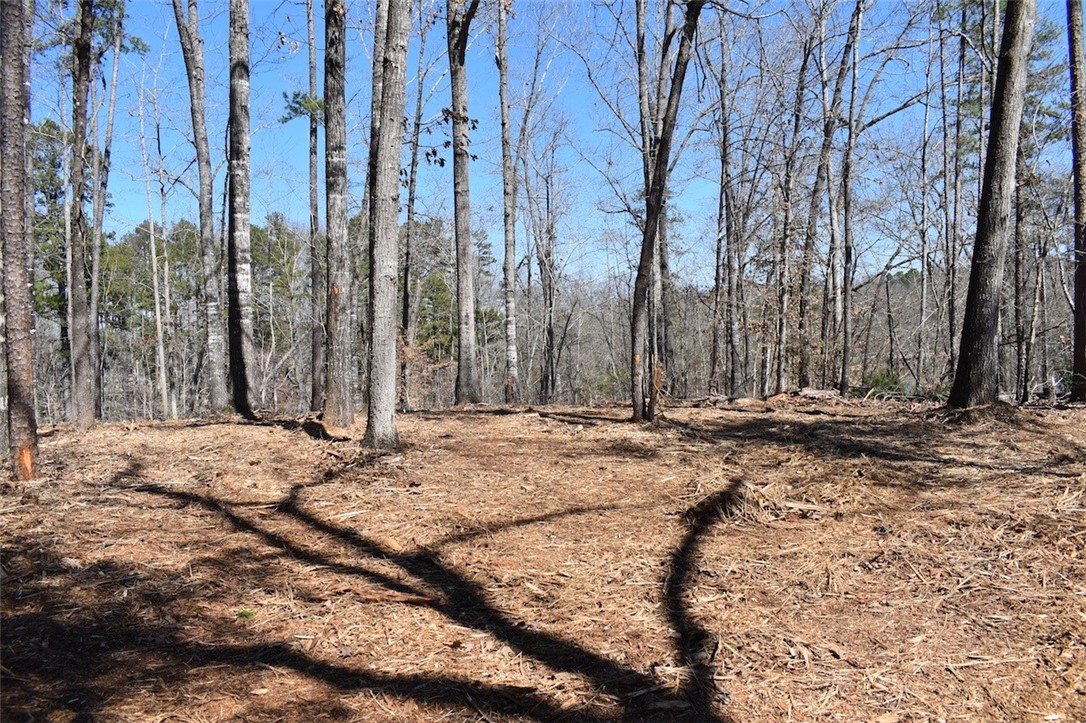 0 Bayfield Road, Unit LOT 23 SEC F Westminster, SC 29693 - Photo 4 of 13 Gallery Image 4