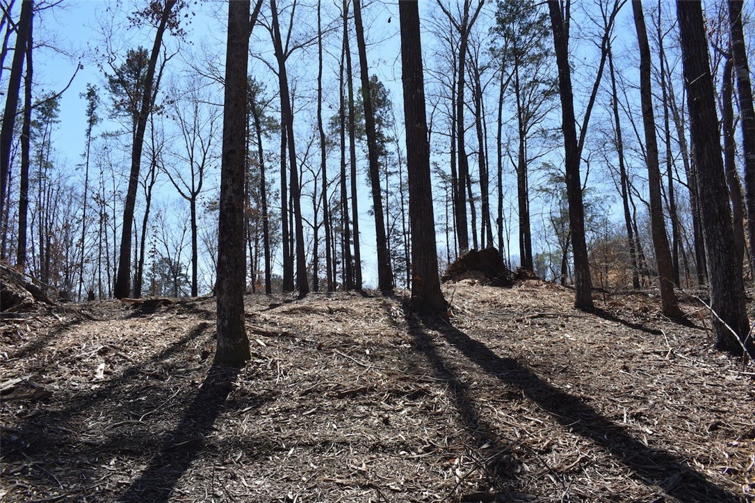 0 Bayfield Road, Unit LOT 23 SEC F Westminster, SC 29693 - Photo 6 of 13 Gallery Image 6