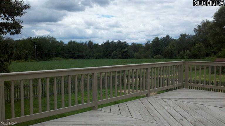 203 Johnson Road Wadsworth, OH 44281 - Photo 17 of 20 Gallery Image 17
