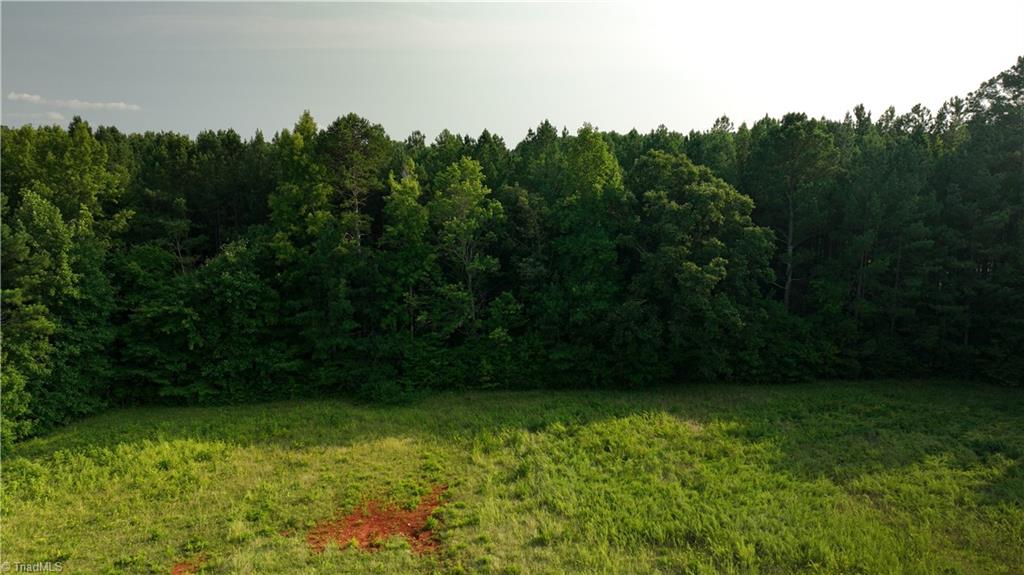 0 Cloverfield Road Asheboro, NC 27205 - Photo 12 of 22 Gallery Image 12