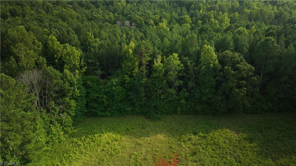 0 Cloverfield Road Asheboro, NC 27205 - Photo 13 of 22 Gallery Image 13