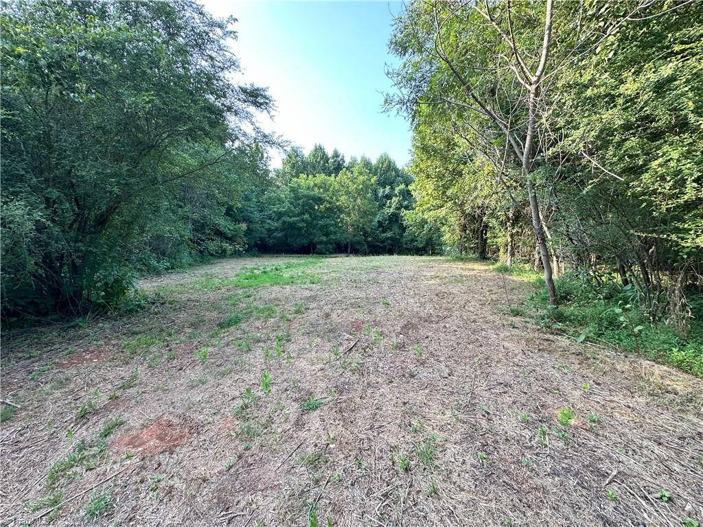 0 Cloverfield Road Asheboro, NC 27205 - Photo 2 of 22 Gallery Image 2