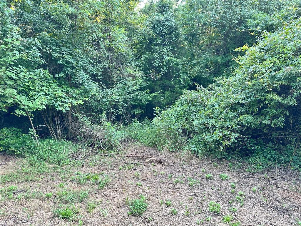 0 Cloverfield Road Asheboro, NC 27205 - Photo 22 of 22 Gallery Image 22