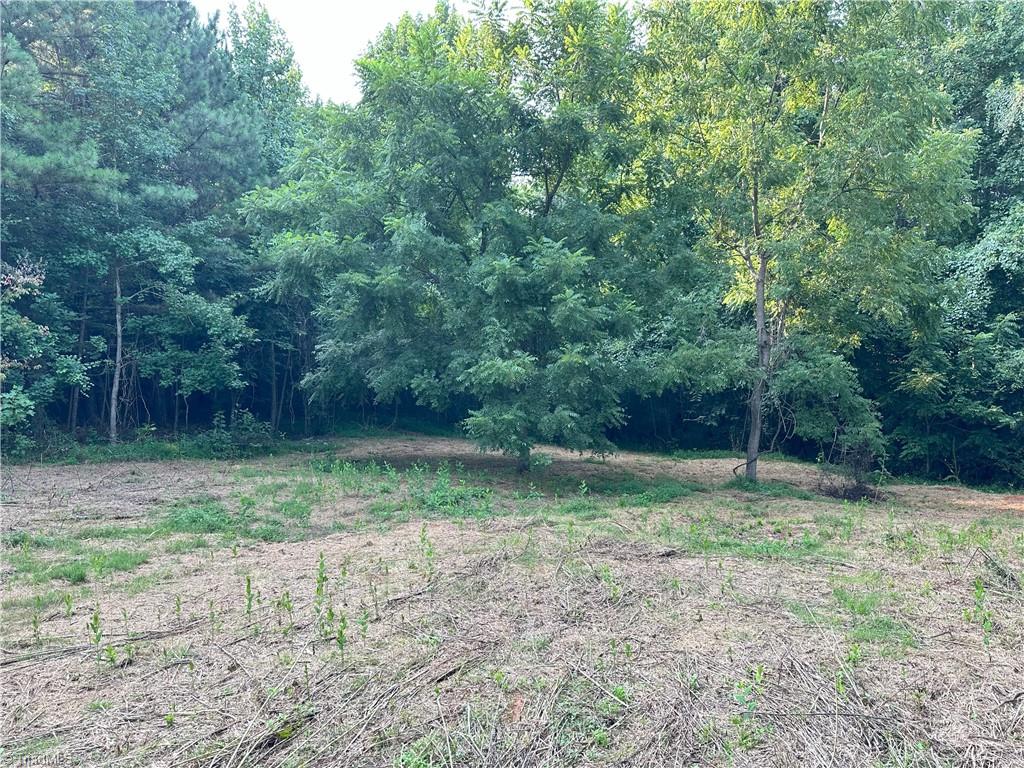 0 Cloverfield Road Asheboro, NC 27205 - Photo 3 of 22 Gallery Image 3