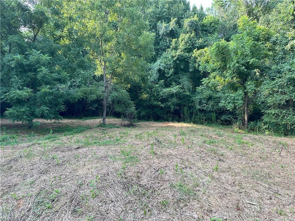0 Cloverfield Road Asheboro, NC 27205 - Photo 4 of 22 Gallery Image 4