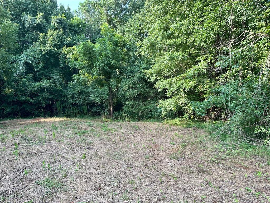 0 Cloverfield Road Asheboro, NC 27205 - Photo 5 of 22 Gallery Image 5
