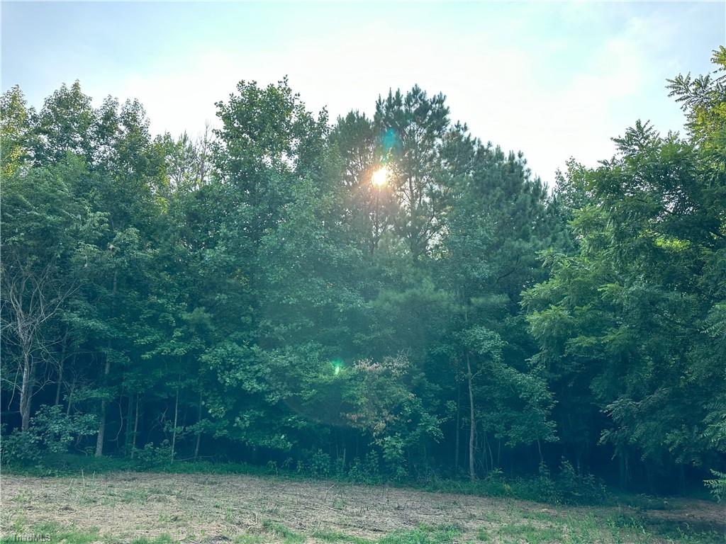 0 Cloverfield Road Asheboro, NC 27205 - Photo 8 of 22 Gallery Image 8