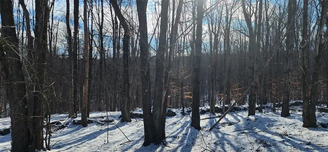 $995,000 | 1433 Country Road 56 Road, Mountain Dale, NY 12763