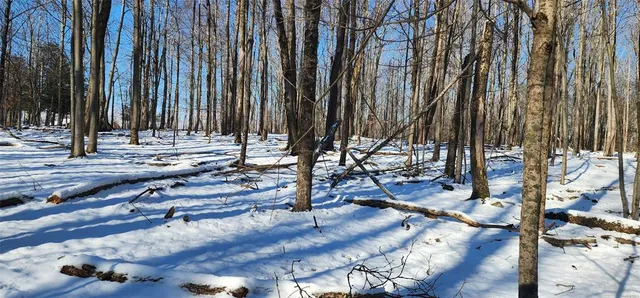 $995,000 | 1433 Country Road 56 Road, Mountain Dale, NY 12763