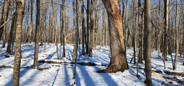 $995,000 | 1433 Country Road 56 Road, Mountain Dale, NY 12763