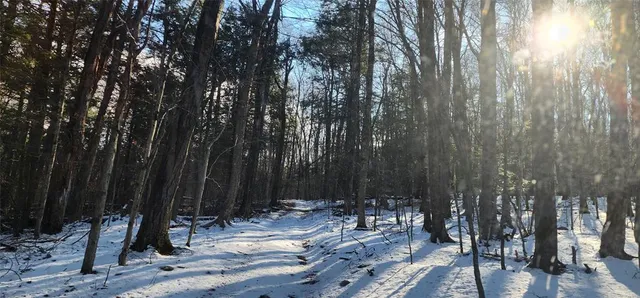 $995,000 | 1433 Country Road 56 Road, Mountain Dale, NY 12763