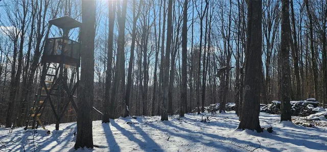 $995,000 | 1433 Country Road 56 Road, Mountain Dale, NY 12763