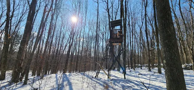 $995,000 | 1433 Country Road 56 Road, Mountain Dale, NY 12763