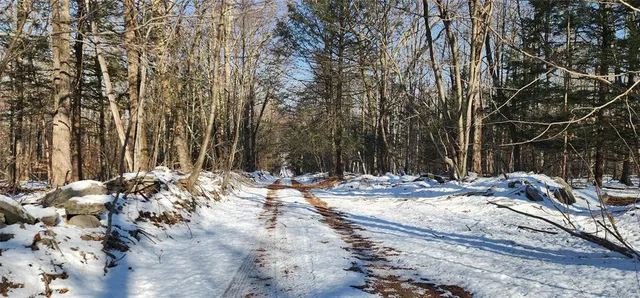 $995,000 | 1433 Country Road 56 Road, Mountain Dale, NY 12763